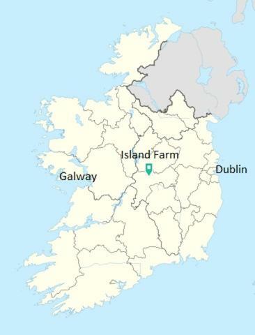 Gormanstown House Apt, The Island Tullamore Exteriör bild